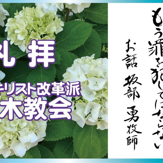 5/29　説教題:「もう罪を犯してはならない」聖書:ヨハネによる福音書7章53節～8章11節