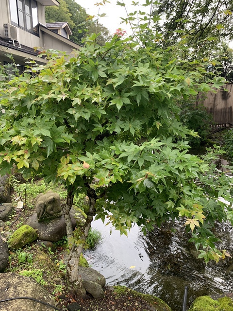 2019年10月13日(日) 日曜礼拝「神の約束に裏付けられて」