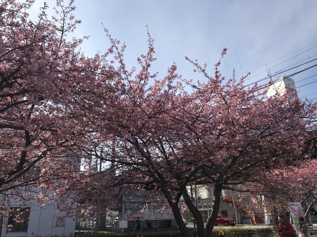 2018年2月25日(日) 日曜礼拝「忠実さ」