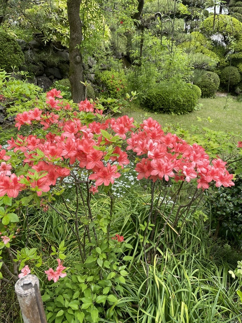 2022年5月8日(日) 日曜礼拝「わたしは主　あなたの神」