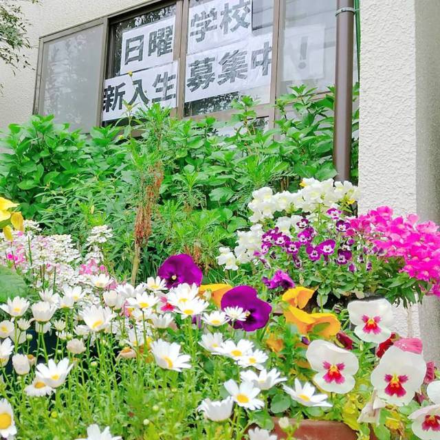 教会の前のエントランスは春の花がお出迎えしてくれます♪　日曜学校の新入生募集中！