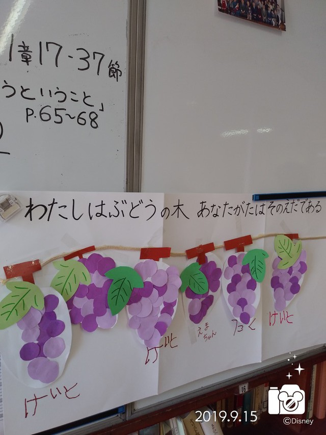 エンジョイさんの この一枚「今朝の日曜学校は葡萄を飾ったみたいですよ。「わたしはぶどうの木、あなたがたはその枝である。人がわたしにつながっており<br>わたしもその人につながっていれば<br>その人は豊かに実を結ぶ。」」