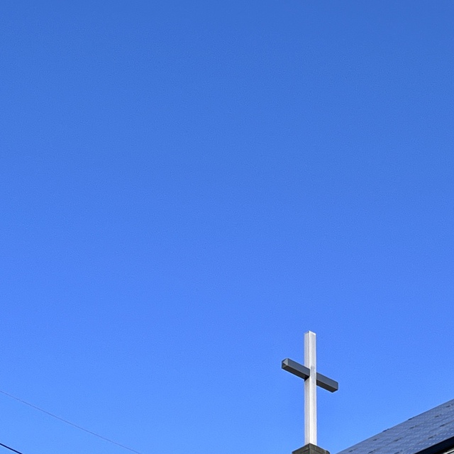 神は言われた。「生き物が水の中に群がれ。鳥は地の上、天の大空の面を飛べ。」（聖書　創世記1:20)

名古屋は、何の混じりもののない、抜けるような真っ青な空の朝です。
神はこんな真っ青な青空に向けて、鳥たちに飛べとおっしゃったのでしょうか。
教会の十字架を照らす光がちょっと温かくなった気がします。春が少しずつやってきているようです。

日本海側は大雪の恐れがあるとか、皆様の生活がまもられますように。
被災し助けを待っている方々に、争いの中で苦しんでいる方々に、ニュースで報じられないけれど、それぞれの街で救いの手を待っている方に、救いの手が届きますように