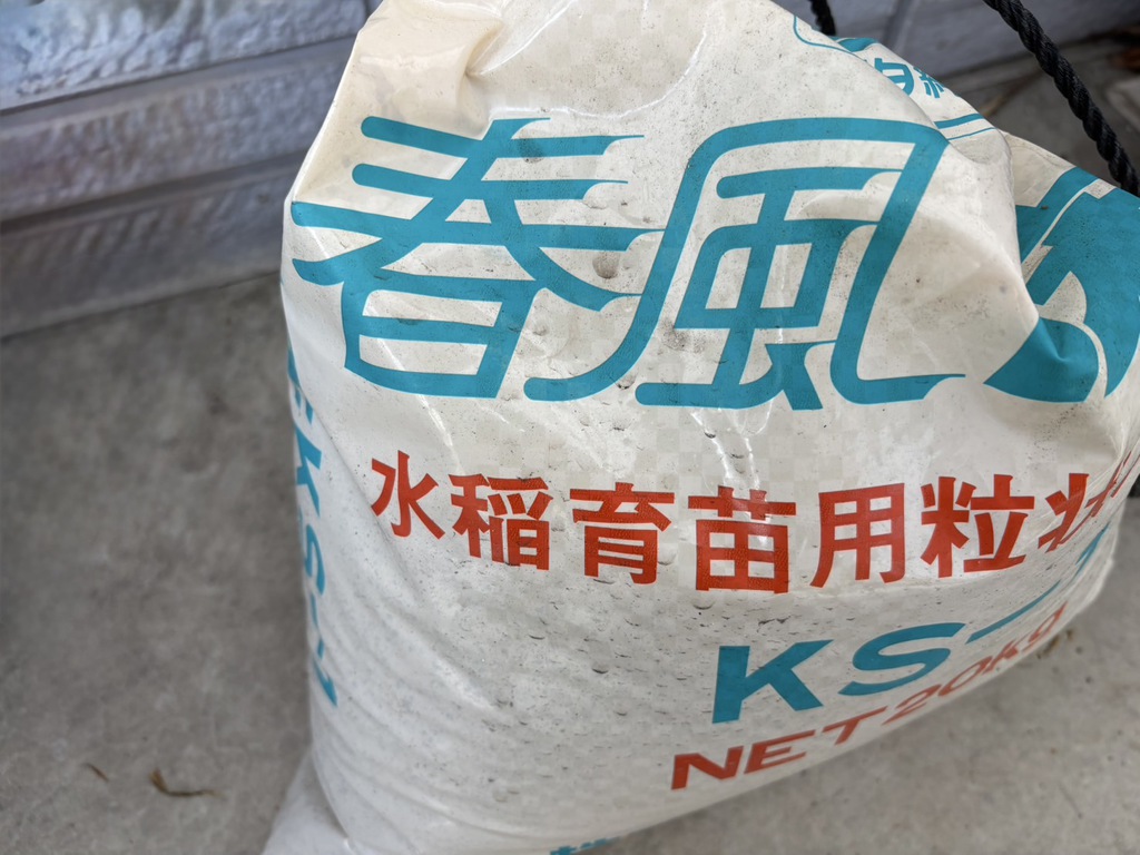 教会で「バケツ稲づくり」をはじめてみました　その4