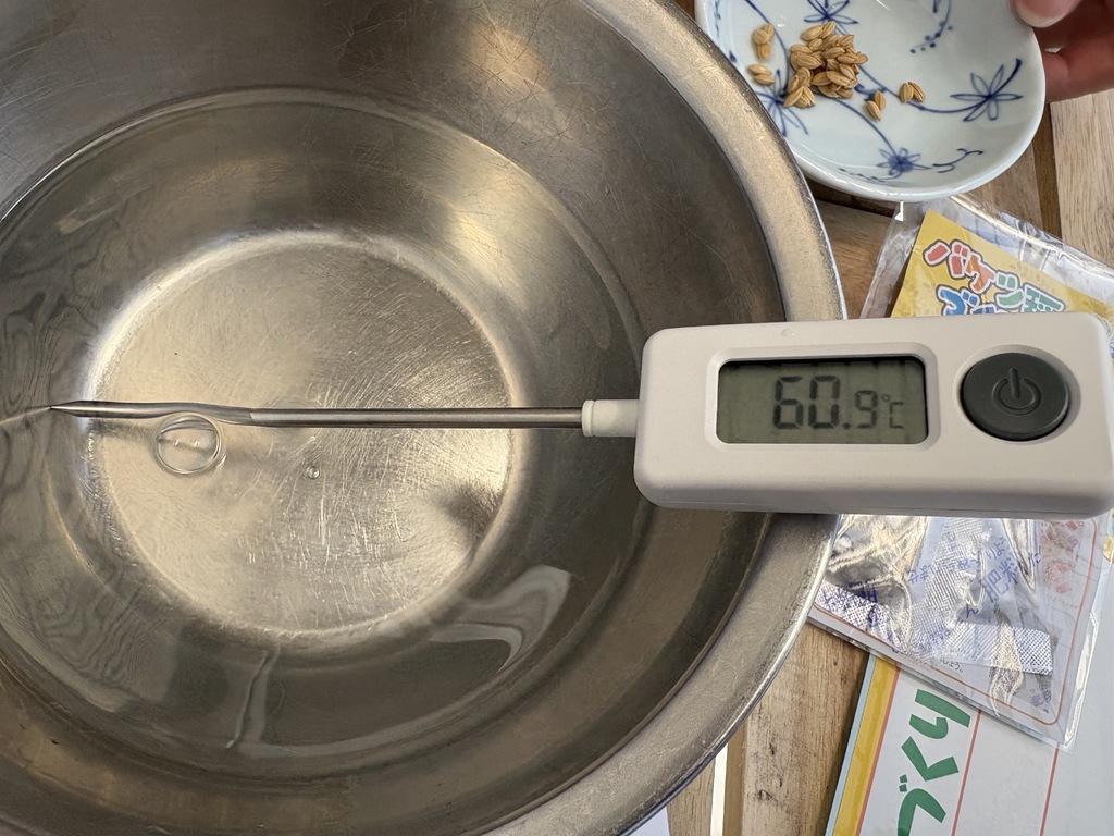 教会で「バケツ稲づくり」をはじめてみました　その5