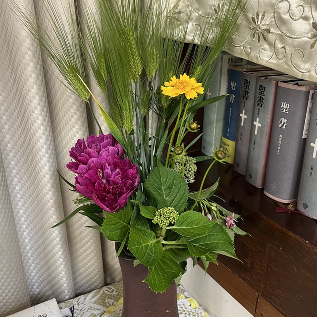 花粉飛来も治り、本日はやや汗ばみましたが、過ごしやすい気温。緑や彩り豊かな花々を楽しませてくださる神様に感謝。つらいことがあっても今日頑張って礼拝を守った神の子とされた子どもたちに主の祝福あれ。