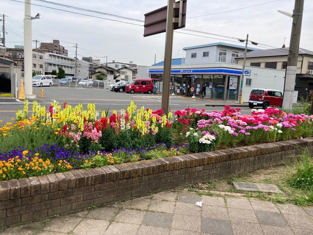 教会員さんの この一枚「教会すぐ近くの向陵公園です。第2主日14時より、この公園で絵本の読み聞かせを行っています。（※天候の悪い日は教会3階で行っています）」