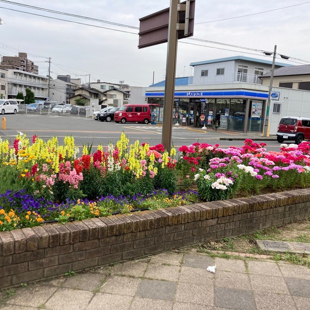 教会すぐ近くの向陵公園です。第2主日14時より、この公園で絵本の読み聞かせを行っています。（※天候の悪い日は教会3階で行っています）