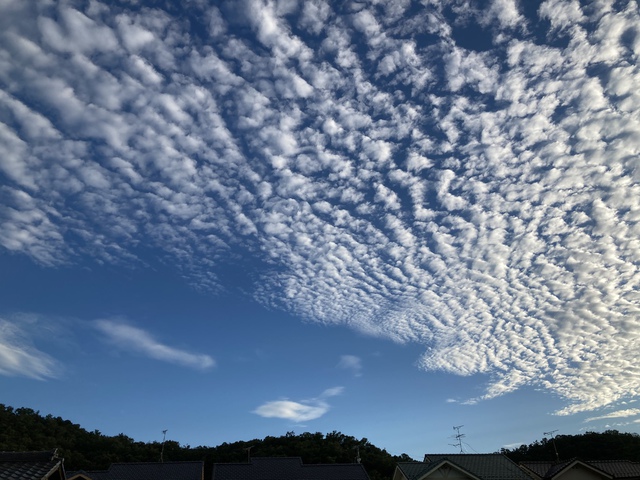 はしさんの この一枚「今日の空 8月14日 平和がありますように」