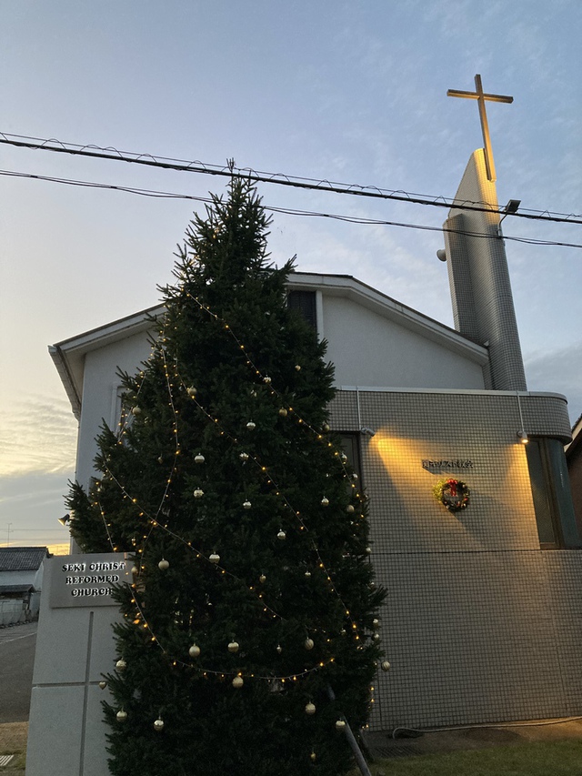 HASHITANI HIDENORIさんの この一枚「礼拝堂前のクリスマスツリーに飾り付け」