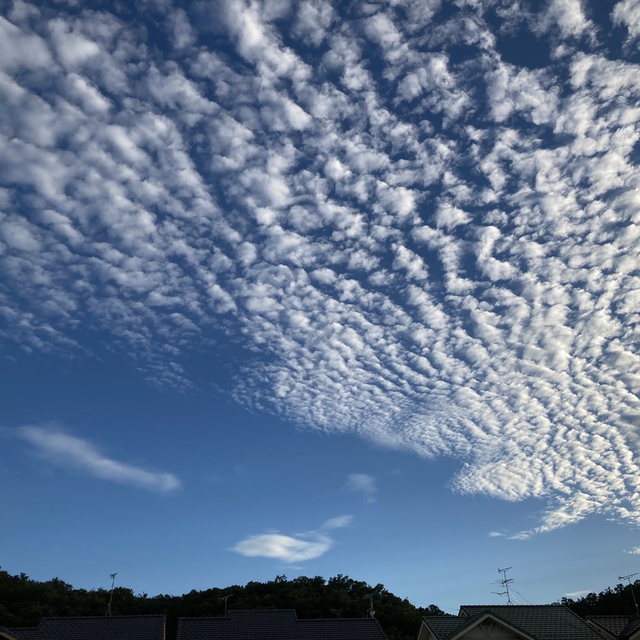 今日の空 8月14日 平和がありますように