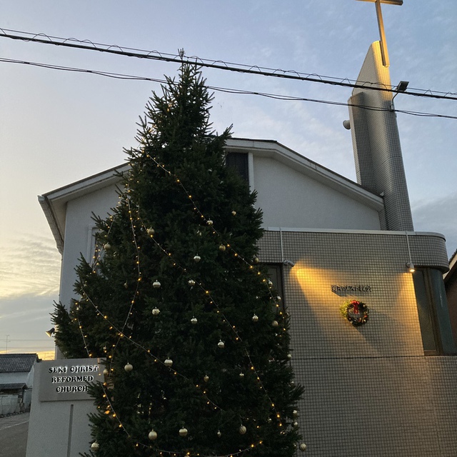 礼拝堂前のクリスマスツリーに飾り付け