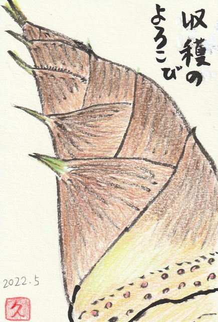 2025年5月11日(日) 日曜礼拝「わたしは世にいないが」