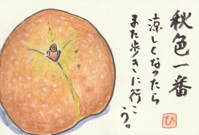 2025年11月23日(日) 日曜礼拝「その子の名はイエス」