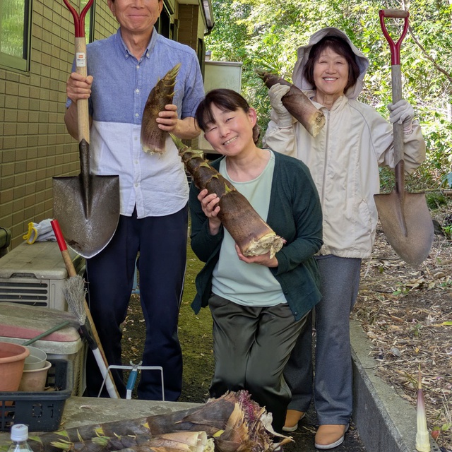 今年も、教会の裏の竹林で、たけのこがたくさんでてきました！！3週連続で礼拝後にしゅうかくしました。たけのこチ―厶、大活躍！！