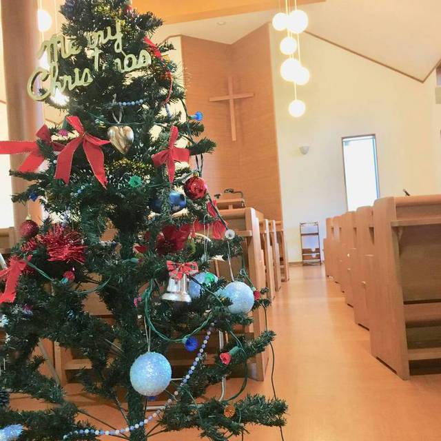 今日は教会の大掃除と芋煮会でした！ピカピカになった会堂にY家のSちゃんMちゃん姉妹がクリスマスツリーを飾ってくれました♫ありがとうございました！神様の愛をいっぱい感じます( *´艸｀)
