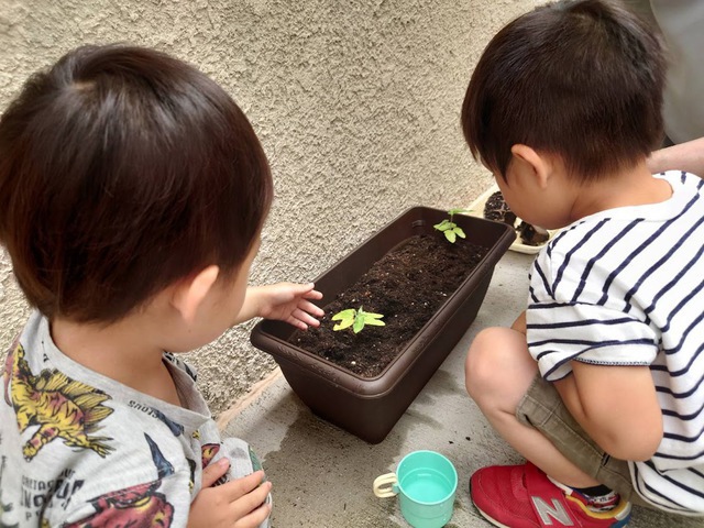 7/10(日)朝の礼拝　ライブ配信