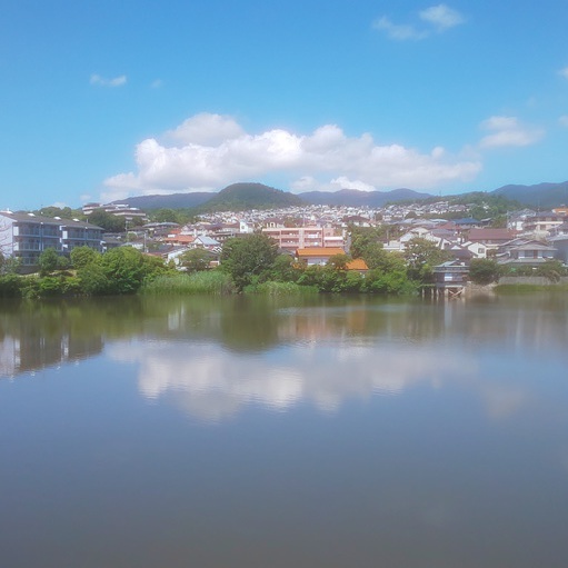 晴れた日の弁天池から仁川高台を眺めました。