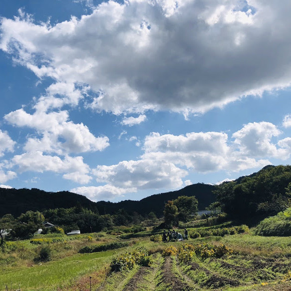 西谷へ教会学校いもほりピクニックに行きました。晴れ渡る秋空の下、おいしい空気をすいこみました。とても親切にしてくださった農園の皆さん、ありがとうございました！