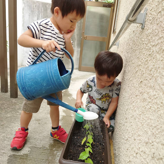 花も人も、成長させてくださる神さまにゆだねて、夏の日々も見守ります。