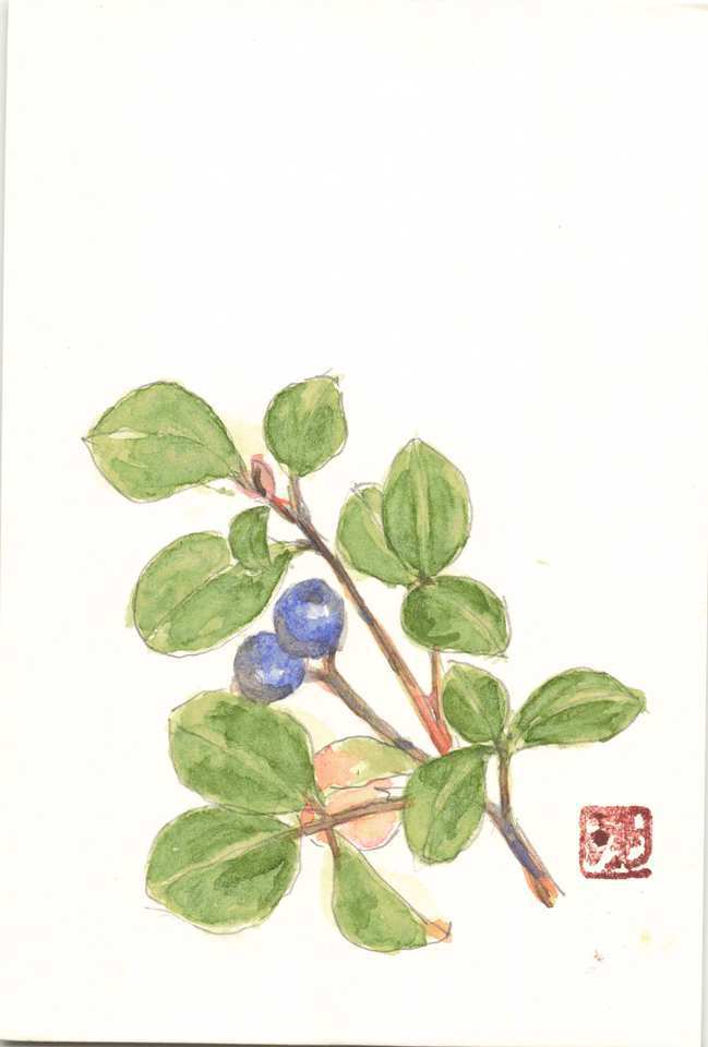 2025年11月16日(日) 日曜朝の礼拝「真の財産」