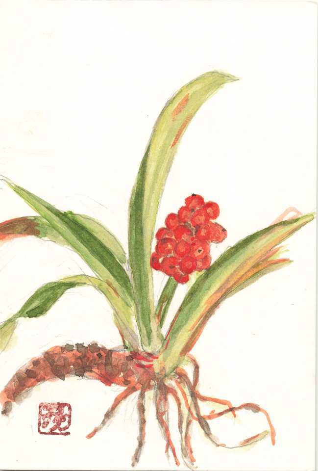 2025年11月23日(日) 日曜朝の礼拝「父なる神と御子イエス」