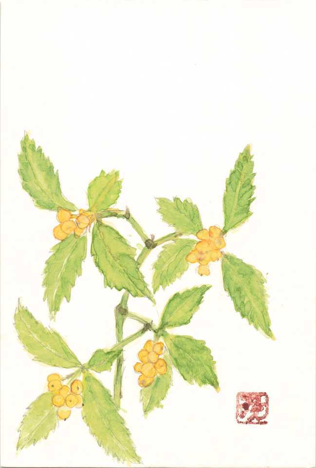 2025年11月30日(日) 日曜朝の礼拝「御子の役割」