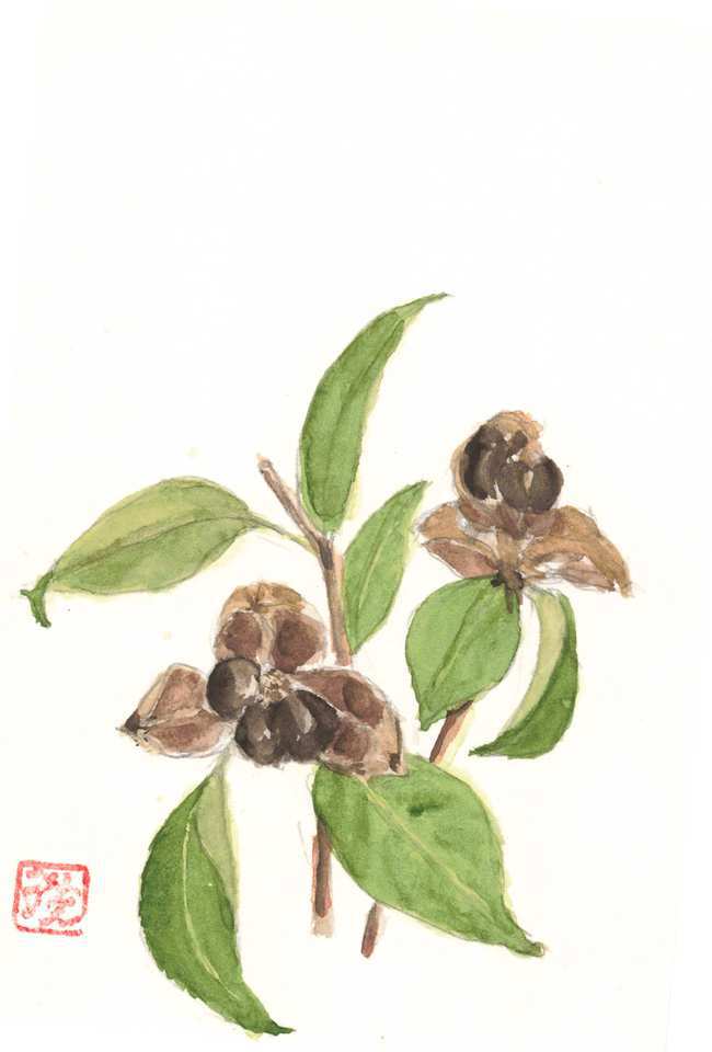 2025年12月21日(日) 日曜朝の礼拝「神は覚えておられる」