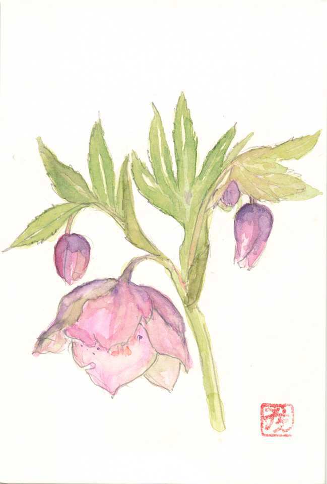 2025年12月28日(日) 日曜朝の礼拝「神からの誉れ」