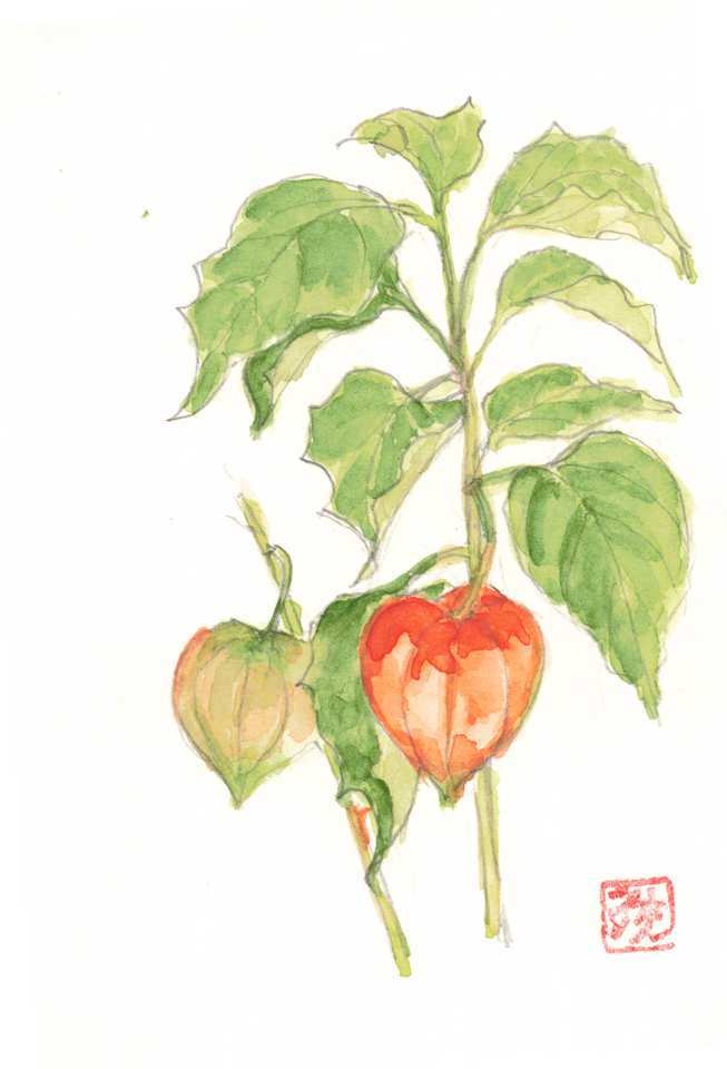 2026年1月4日(日) 日曜朝の礼拝「さいわいな人」