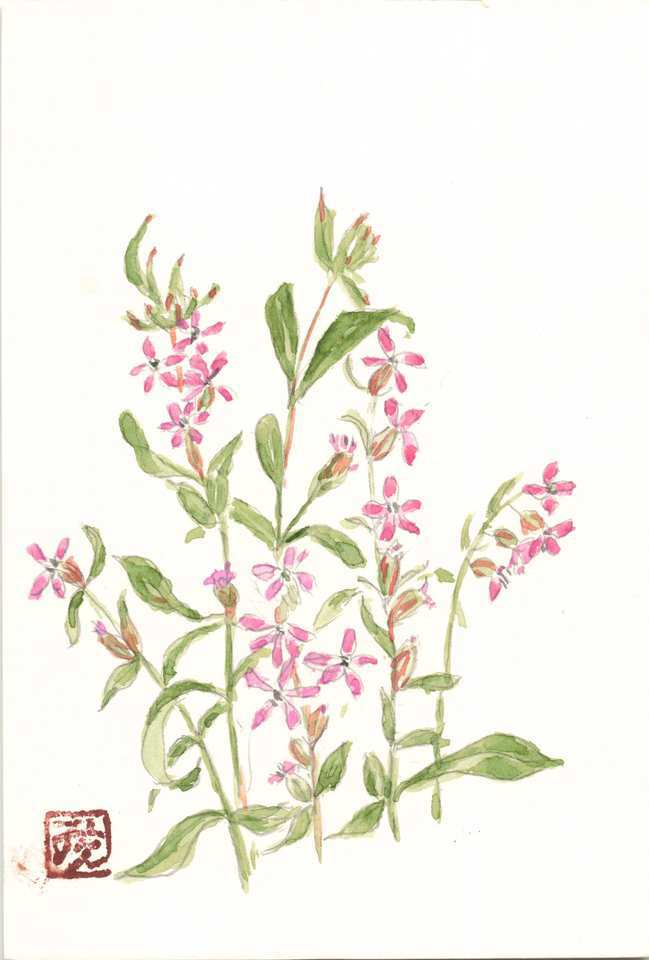 2026年1月11日(日) 日曜朝の礼拝「五千人を養う」