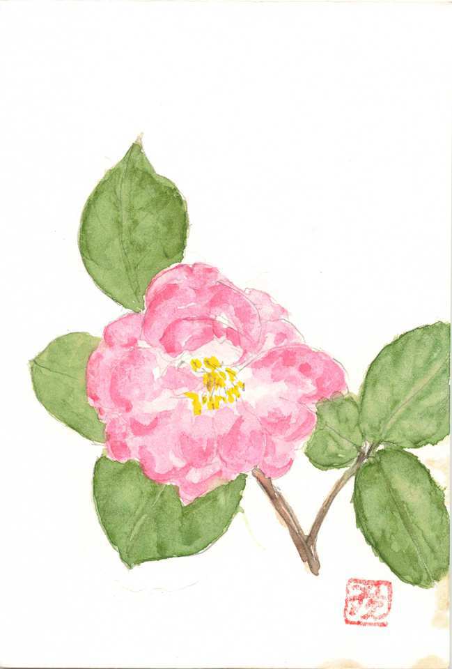 2026年1月25日(日) 日曜朝の礼拝「白髪は栄えの冠」