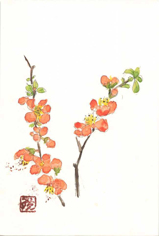 2026年2月15日(日) 日曜朝の礼拝「聖書で見る成功者の姿」