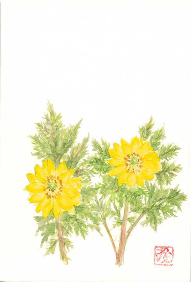 2026年2月22日(日) 日曜朝の礼拝「肉のパン、霊のパン」