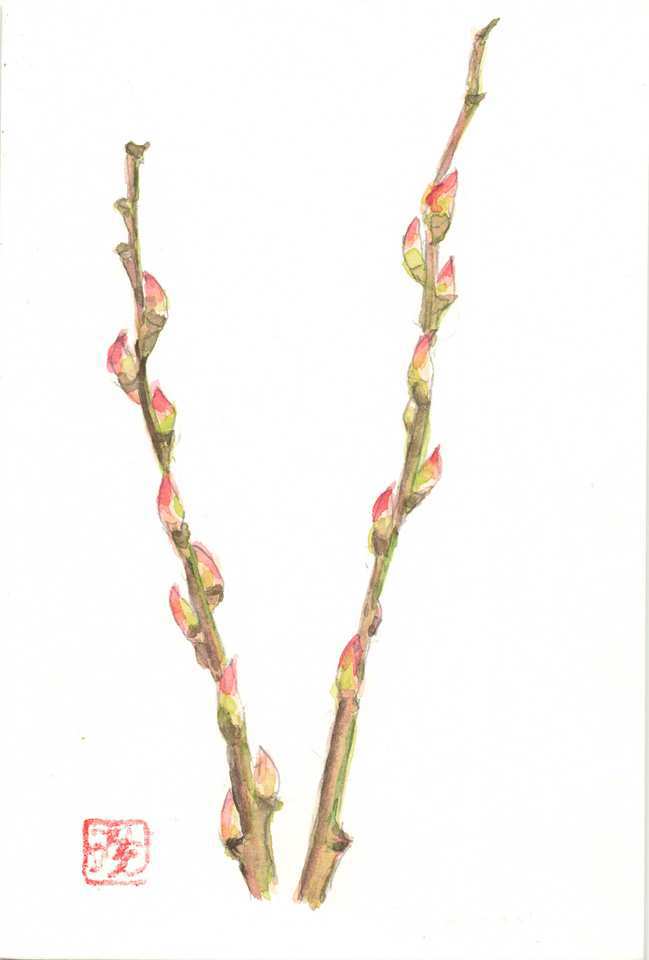 2026年3月1日(日) 日曜朝の礼拝「神のみ心」