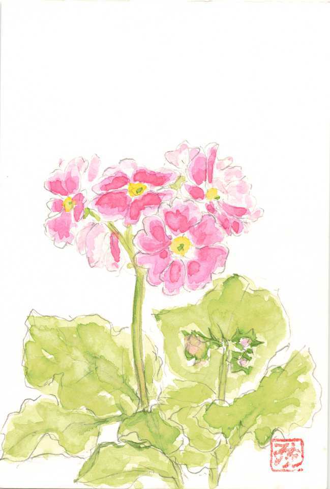 2026年3月8日(日) 日曜朝の礼拝「つぶやく」