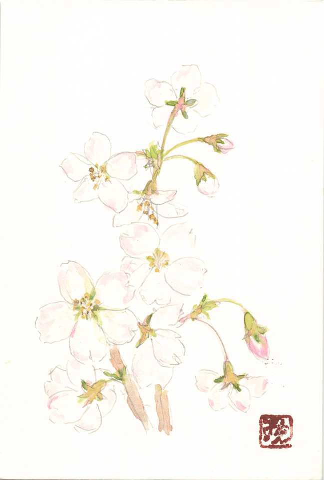 2026年3月15日(日) 日曜朝の礼拝「イエスの肉と血」