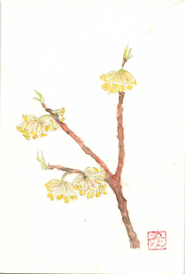 2026年3月22日(日) 日曜朝の礼拝「主が私の内に」