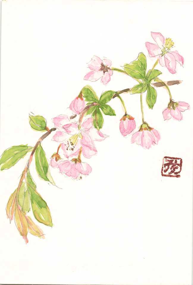 2026年4月5日(日) 日曜朝の礼拝「生きる―イースターに想う」