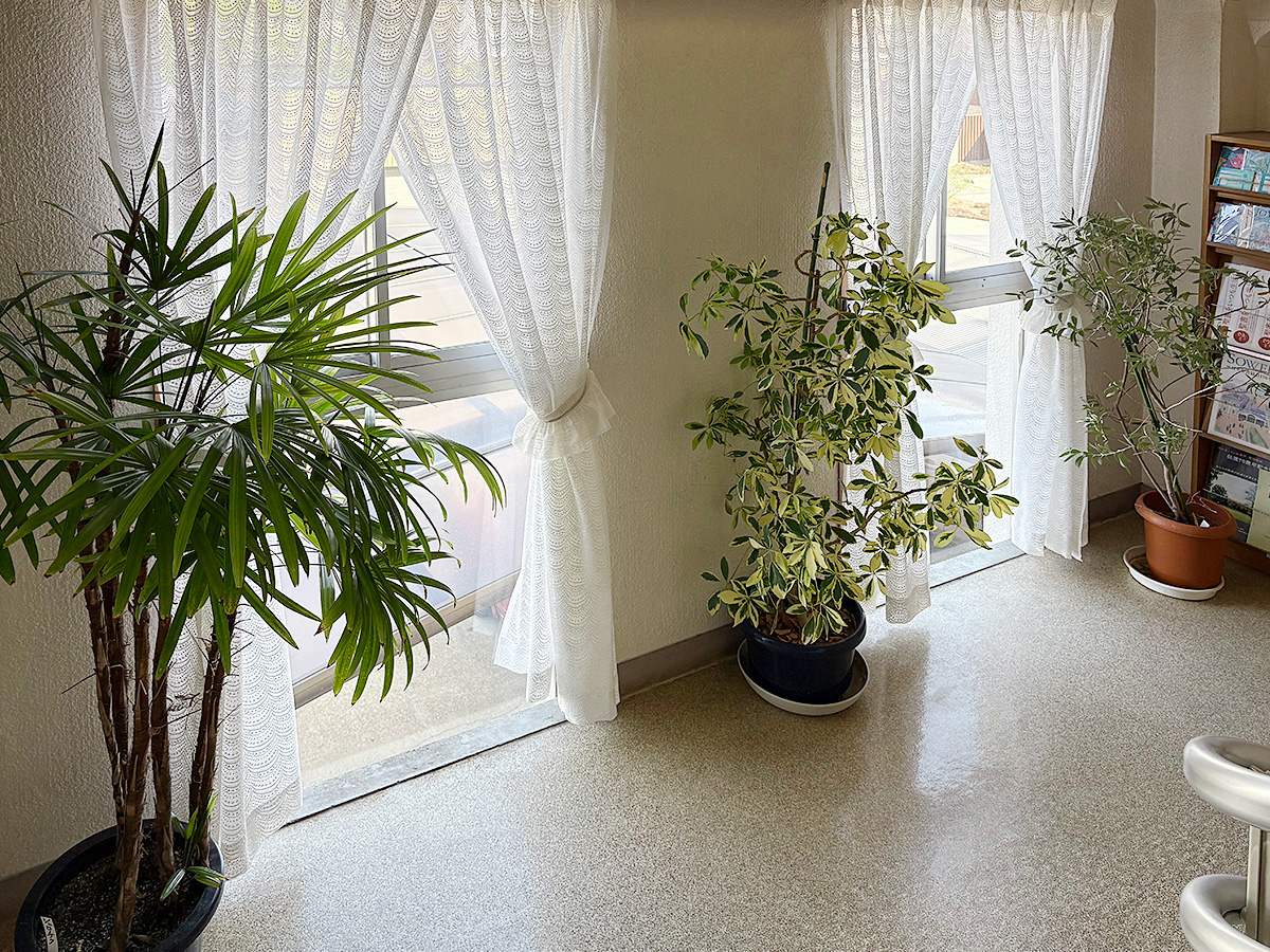 日本キリスト改革派 津島教会の礼拝堂のイメージ画像