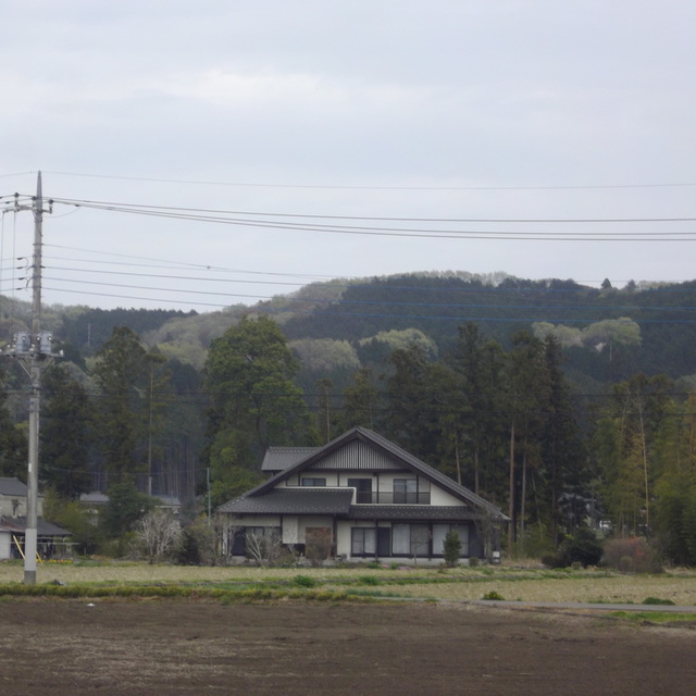 会堂北側の千渡の山の新緑　1