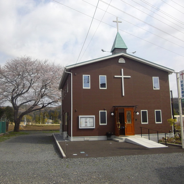 宇都宮教会の後ろには大きな桜の木が花を咲かせます。また、時折、雉の鳴き声が聞こえて、雉が姿を現します。